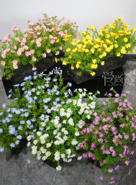5叉高仿真洋甘菊更精致更好看
