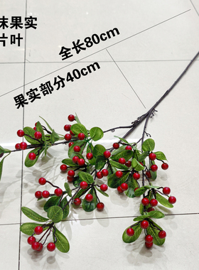 带叶发财果插花造景饱满丰富