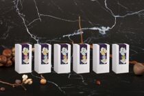 (Blue-Strong Prop House) Limited Ink Magic Life-long Pavilion Tea Series Surge Springs