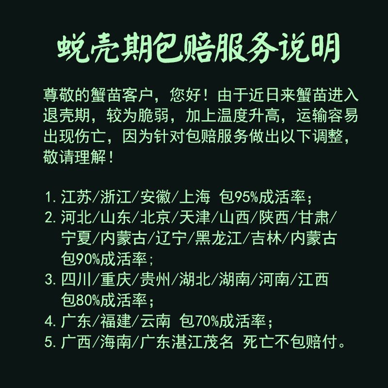 特级大种蟹苗螃蟹苗幼苗淡水大闸蟹苗河毛蟹苗长江中华绒螯蟹苗 - 图0