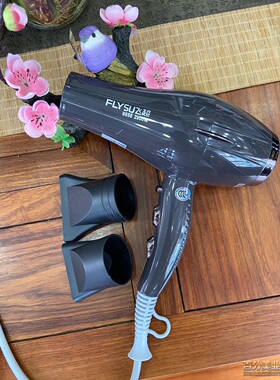 飞超8858吹风机发型师速干冷热