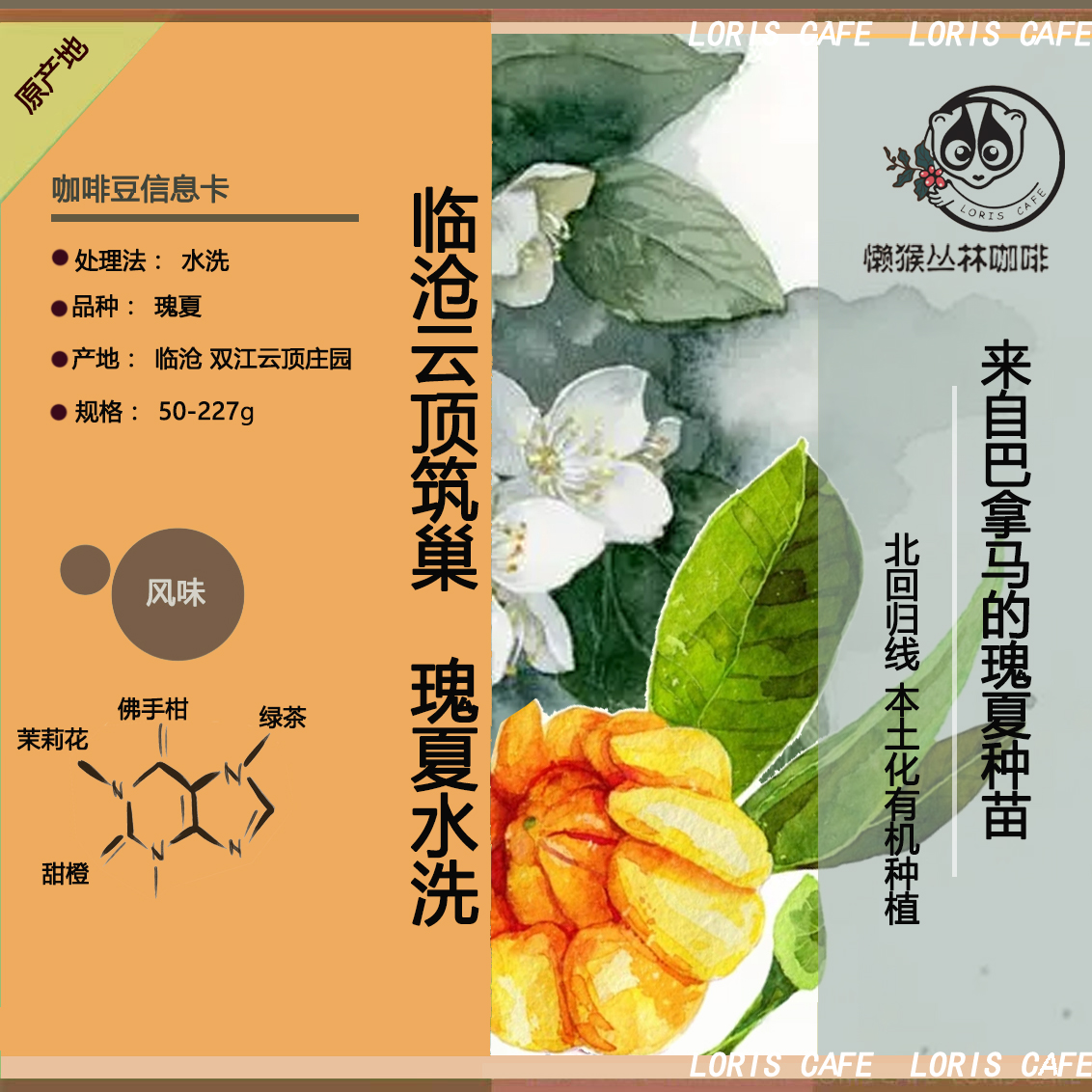 云南瑰夏 临沧云顶筑巢大地日晒精品咖啡 懒猴中浅烘焙咖啡豆 - 图1