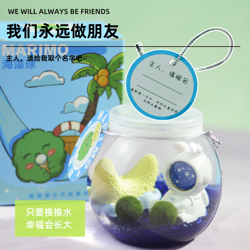 『萌藻星球』marimo海藻球微景观生态瓶办公室水培植物绿球藻礼物,淘宝优惠券,粉丝福利购,淘宝优惠卷