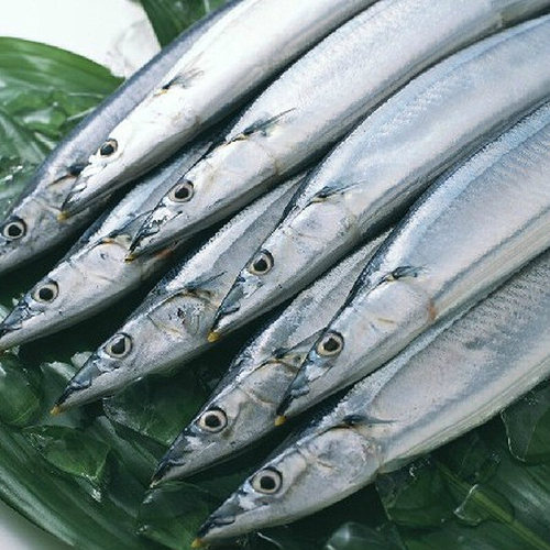 秋刀鱼 烧烤食材 秋刀鱼 海鲜 水产品 鱼 - 图1