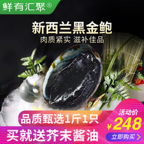 New Zealand Black Gold Bao Seafood Seafood Fresh Frozen Megabalone Extra-large 450-500g A Dress Cisterone