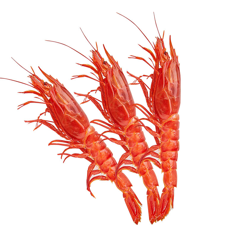  鲜有汇聚冻虾