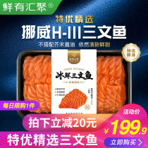 Norwegian Ice Fresh Salmon Fresh Sashimi Raw Fish Fillet H111 Factory Special Selection Ready-to-eat Sashimi Seafood Salmon Salmon