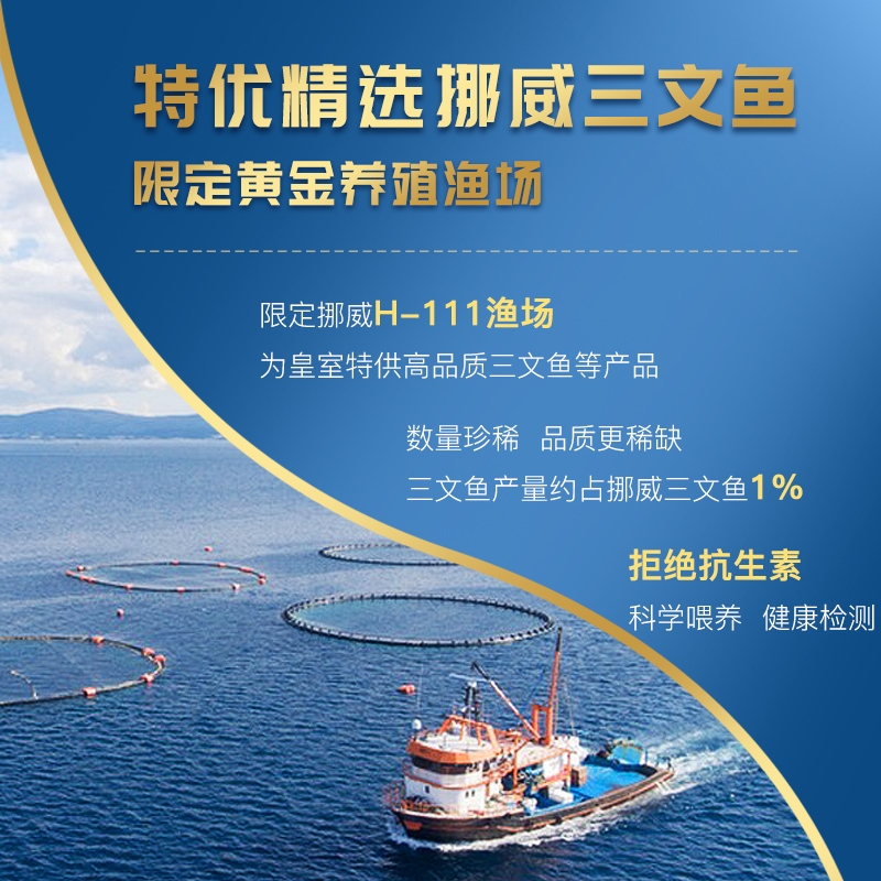 挪威冰鲜三文鱼新鲜h111精选生鱼片 鲜有汇聚三文鱼