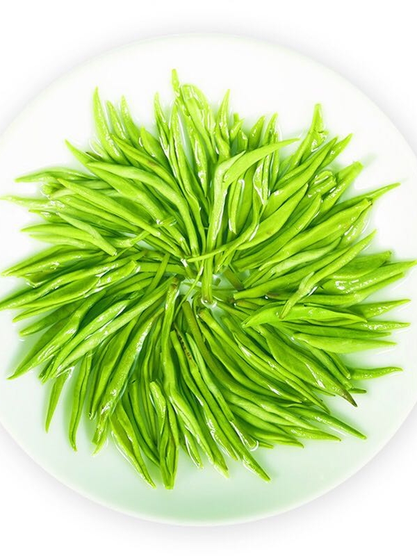 祁雅茶叶旗舰店新茶祁雅毛尖绿茶茶叶特级明前春茶嫩芽浓香散装罐装包装250g2