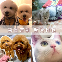 diy Christmas Alien self-ordering 3d kitty pet with pillow customisation to figure out the photo pooch Souvenir Pillow