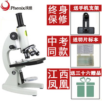 Phoenix Optic Professional Biomicroscope XSP-02 Clear Elementary School Students Middle School Students in Experimental Science