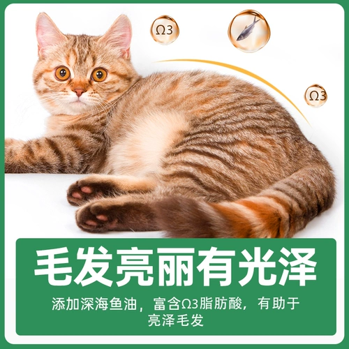 Macin Cat Food становится питание для кошки, щека, короткая британская кукольная кукольная кошачья кошачья универсальная кошачья еда 2,5 кг.
