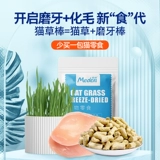 [麦顿冻干猫草棒猫咪磨牙洁齿磨牙棒零食化毛片排吐毛球成幼猫发腮]