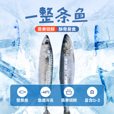 麦顿一整条鱼50g*6条蒸煮整条鱼猫零食成幼猫营养增肥小鱼干肉干