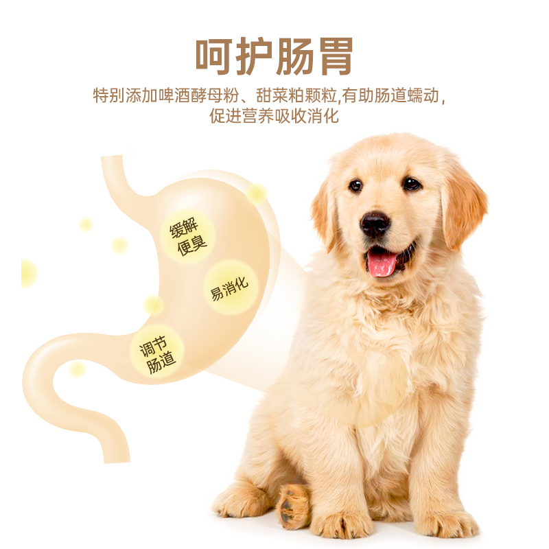 麦顿B3宠物狗粮幼犬通用型中小型犬款泰迪贵宾金毛比熊专用粮2kg-图1