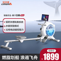 Standing Jiu Jiultra fuel Grease Intelligent Water Magnetic Double Resistance Paddle Boat home Indoor Sports Rowing Instrumental Fitness Equipment