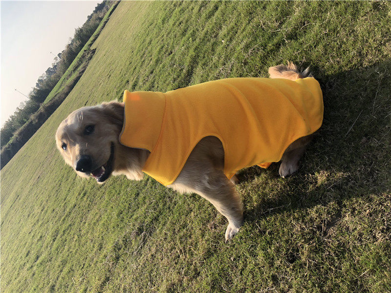 新款宠物衣服秋冬金毛大小型犬狗衣服宠物服装两面穿马甲宠物用品,淘宝优惠券,粉丝福利购,淘宝优惠卷