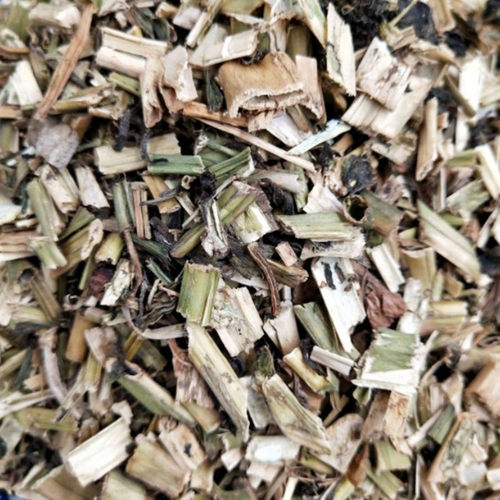 龙葵中药材店铺龙葵草新鲜干货500g包邮可磨粉黑天天草中草药大全 - 图0