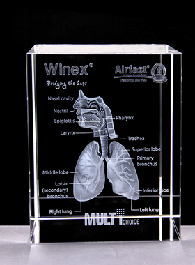 人体礼物摆件水晶内雕定制