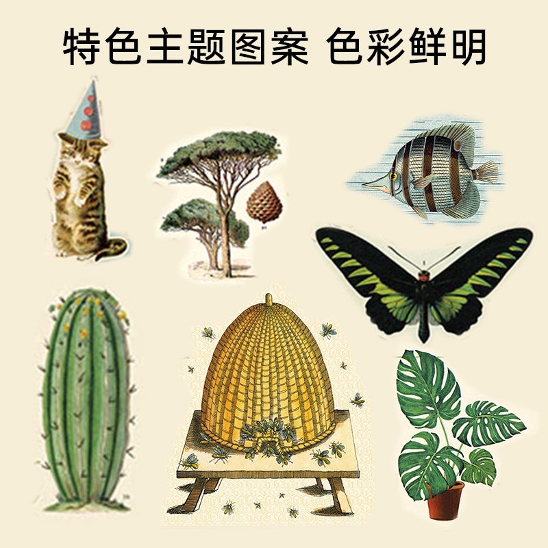 美国CAVALLINI现代装饰画海报美式鲜明复古植物花卉墙面含挂轴ins - 图2