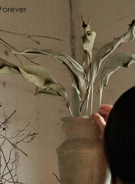 设计师款侘寂风天堂鸟干花叶片