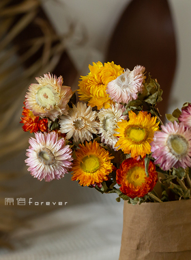 diy多彩菠萝画室民宿相框小雏菊
