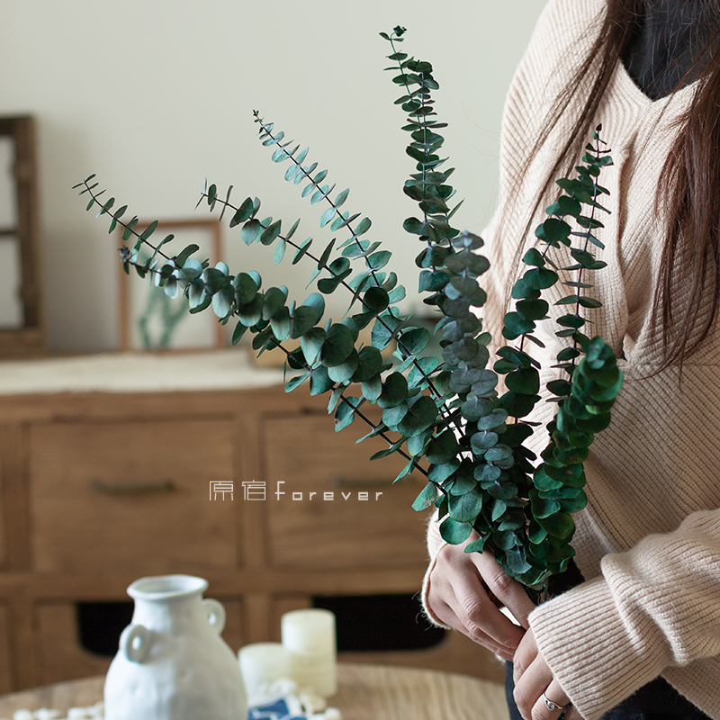 永生真花胺叶干花尤加利叶北欧轻奢家居样板间软装饰花束搭配花材 - 图0