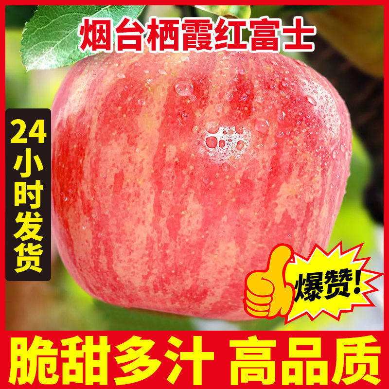山东栖霞苹果10斤冰糖心水果新鲜烟台红富士苹果一级脆甜应季整箱