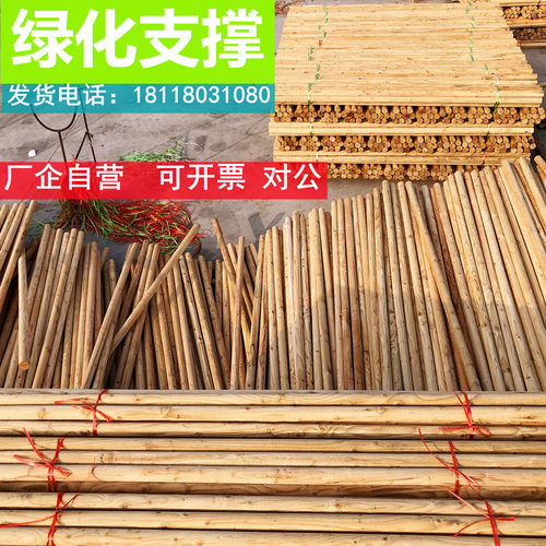 绿化支撑杆树木支撑架固定器套杯树木支撑杨木竿松木棍支撑三脚架 - 图2