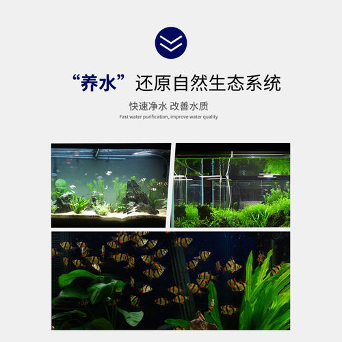 哈洁宝强效消毒高铁酸钾底砂消毒观赏鱼药新鱼检疫进缸处理 - 图2