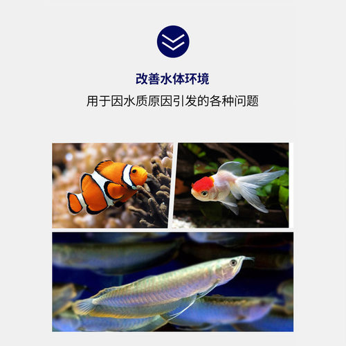 哈洁宝强效消毒高铁酸钾底砂消毒观赏鱼药新鱼检疫进缸处理 - 图1