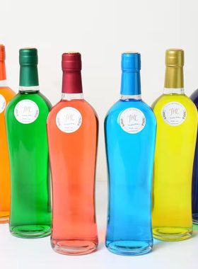 彩色伏特加仿真酒室内家居装饰