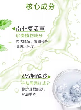 春夏南非复活草恒润保湿乳液滋润