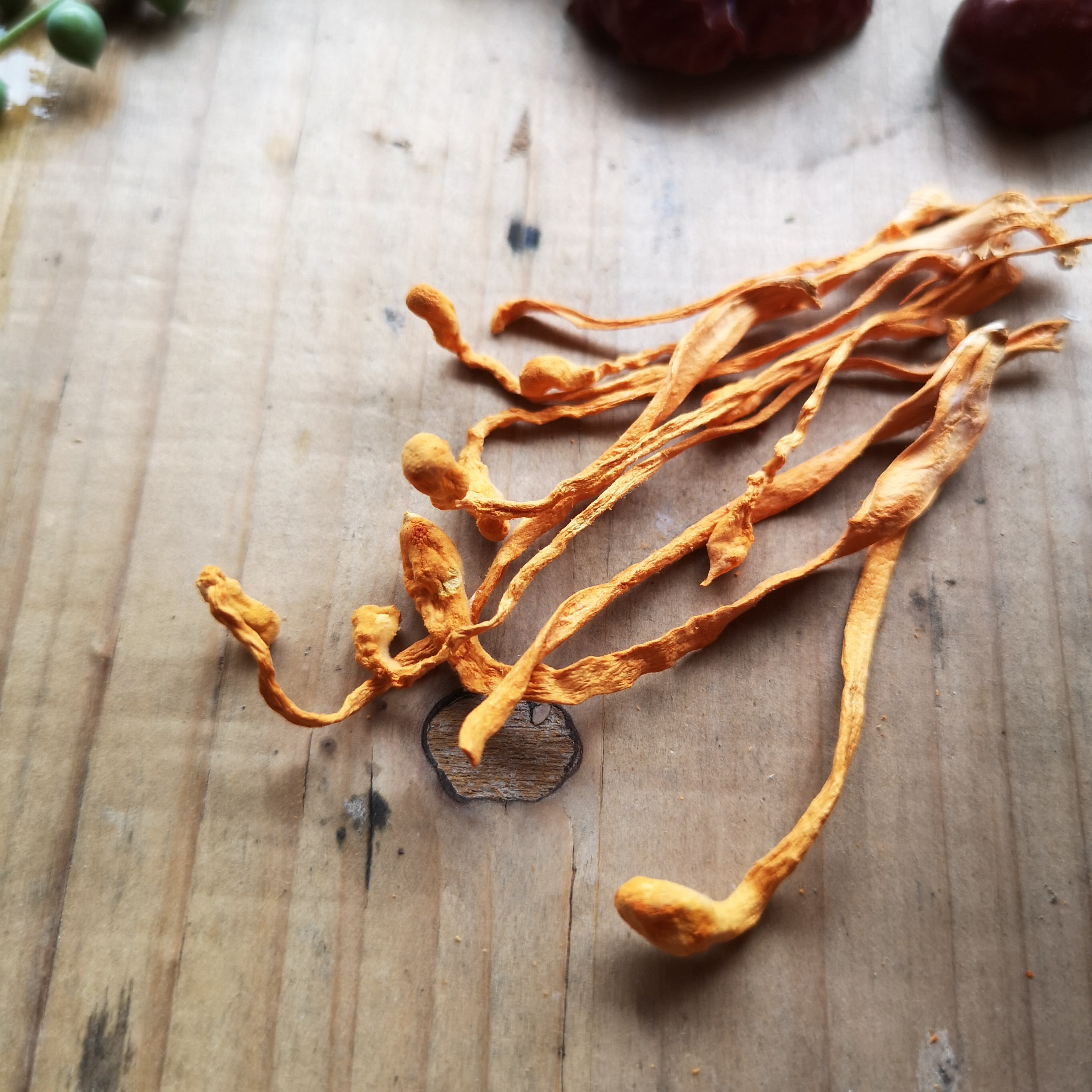 虫草花干货200g蛹虫草冬虫新鲜正品北虫金虫草煲汤材料搭竹荪鲜美