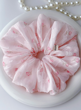 大号法式高级感蕾丝网纱裙摆玫瑰发圈女头饰扎头发大肠圈发饰头绳