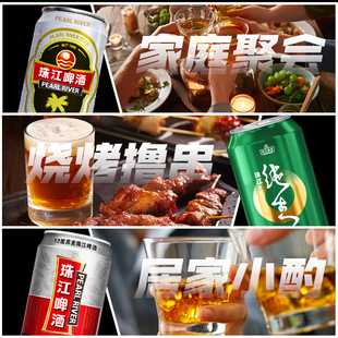 珠江啤酒特制纯生330ml*12罐