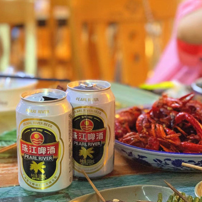 12度经典珠江啤酒330ml烧烤冰镇