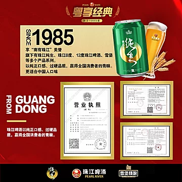 珠江啤酒特制纯生330ml*12罐整箱[5元优惠券]-寻折猪