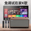 Shanshui family ktv audio karaoke singing karaoke