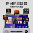 C13 Shanshui 12-inch professional home KTV audio set