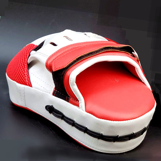 Adult professional training sparring boxer target