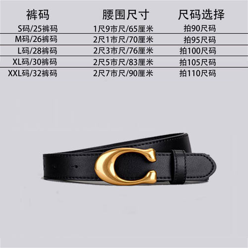 皮带时尚百搭牛仔裤装饰腰带黑色2025女士新款真软皮简约ins - 图0
