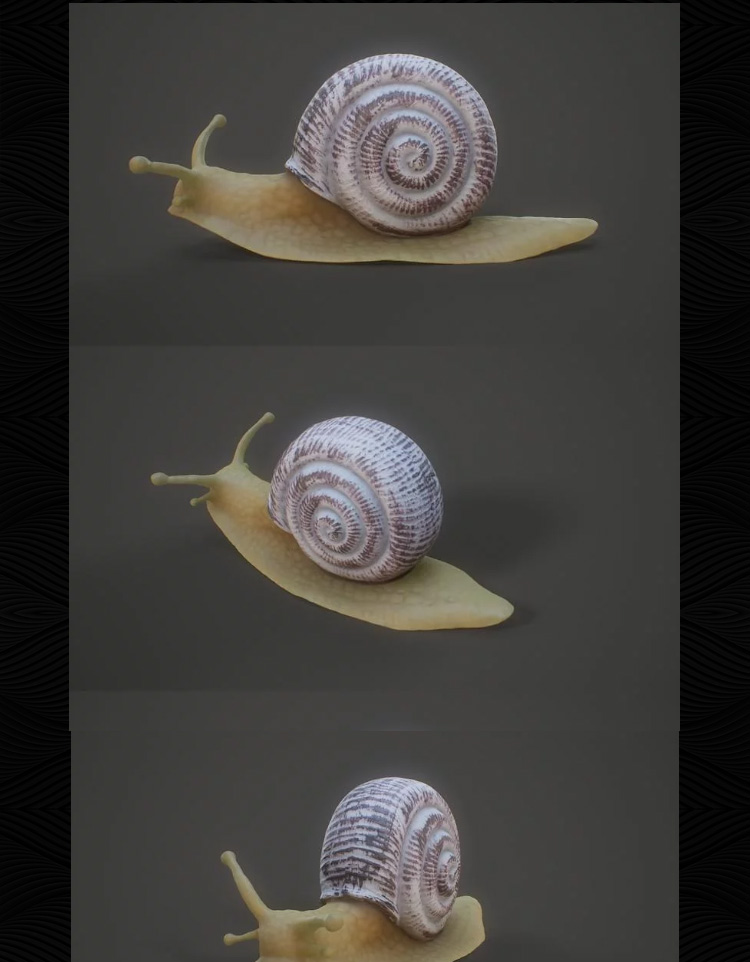 蜗牛3d昆虫模型obj单体fbx高精度mtl三维设计max建模打印素材下载 - 图1