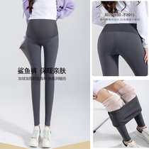 Pregnant woman pants autumn and winter style 2023 new fall outside wearing gush thickened small subtobellied shark pants underpants
