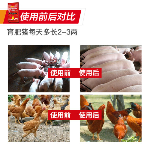 饲料添加剂鸡鸭多种维生素促生长增肥预混料 猪牛羊催肥 兽用多维 - 图1