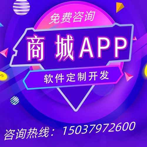 商城APP开发B2B2C商城定制直播分销电商系统开发多商户入住商城-图0