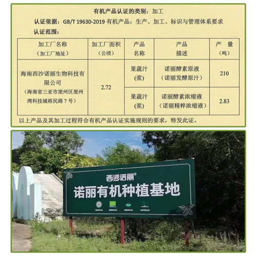 【厂家直销】西沙诺丽果有机酵素口服原液 诺丽果蔬孝素正品4盒 - 图0