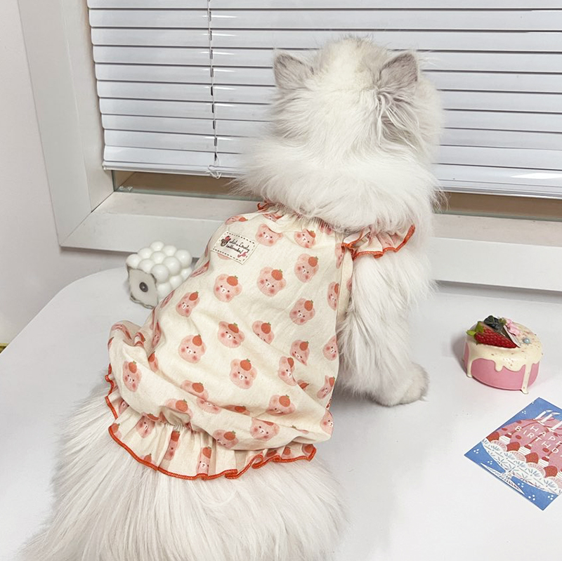 猫咪衣服夏天防掉毛薄款纯棉幼猫小猫布偶宠物猫猫的可爱夏季背心 - 图1