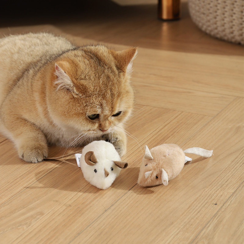  乐乐猫宠物用品逗猫棒