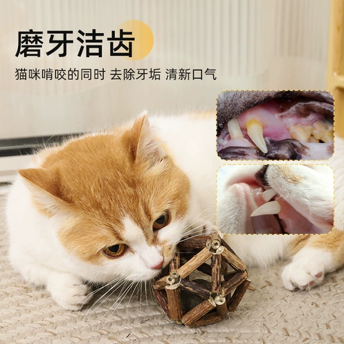 Мятная игрушка для правильного прикуса, мятный прорезыватель, котенок, можно грызть, кот